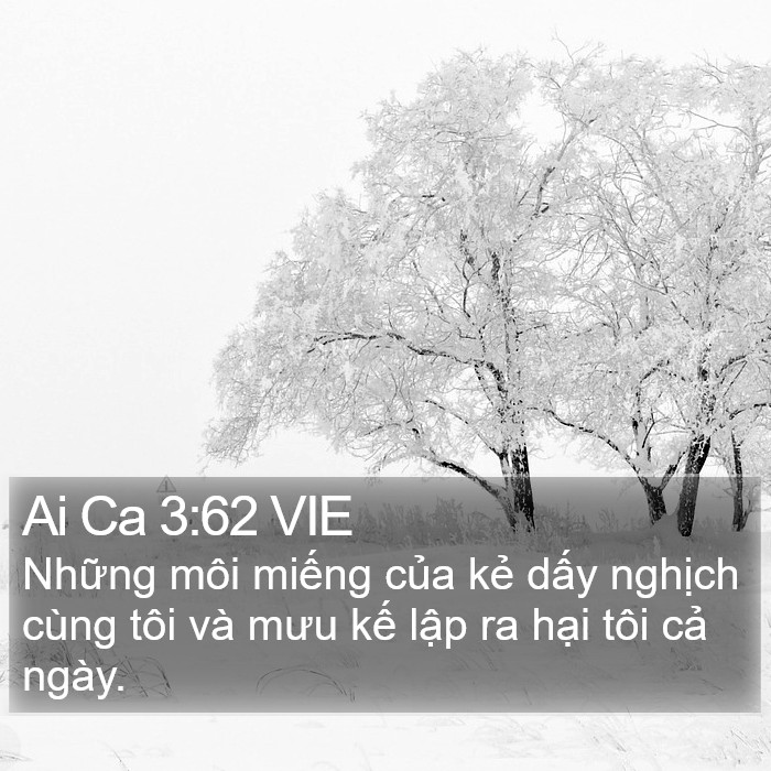 Ai Ca 3:62 VIE Bible Study