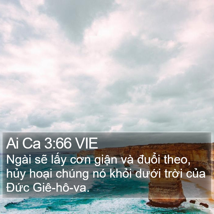 Ai Ca 3:66 VIE Bible Study