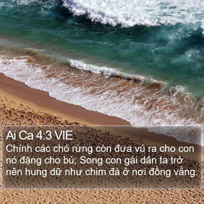 Ai Ca 4:3 VIE Bible Study