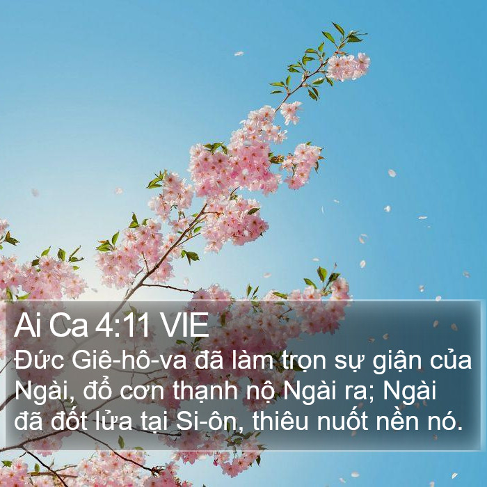 Ai Ca 4:11 VIE Bible Study