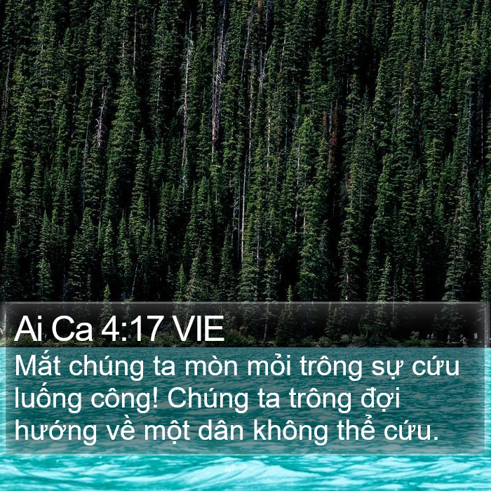 Ai Ca 4:17 VIE Bible Study