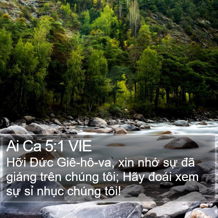 Ai Ca 5:1 VIE Bible Study