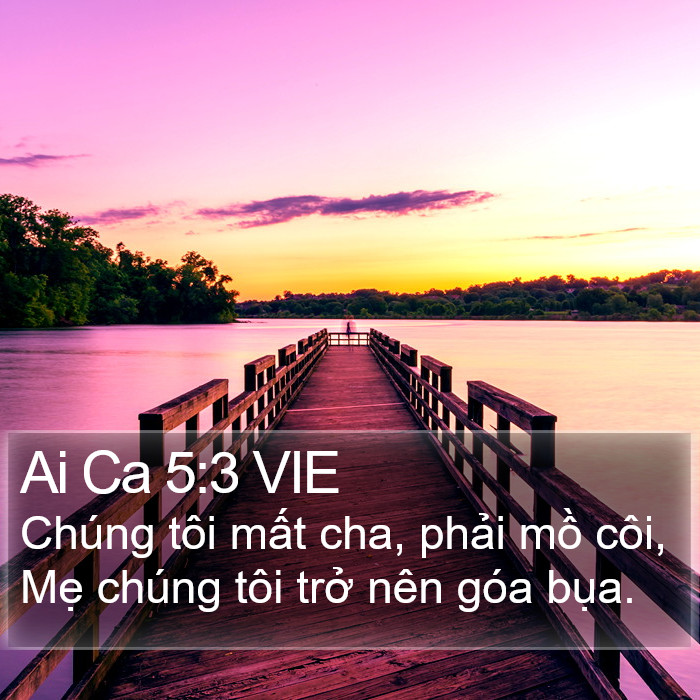 Ai Ca 5:3 VIE Bible Study