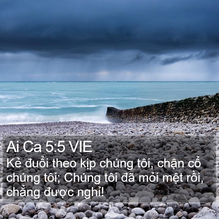 Ai Ca 5:5 VIE Bible Study