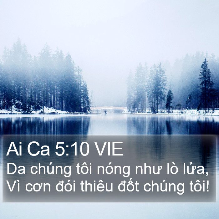 Ai Ca 5:10 VIE Bible Study