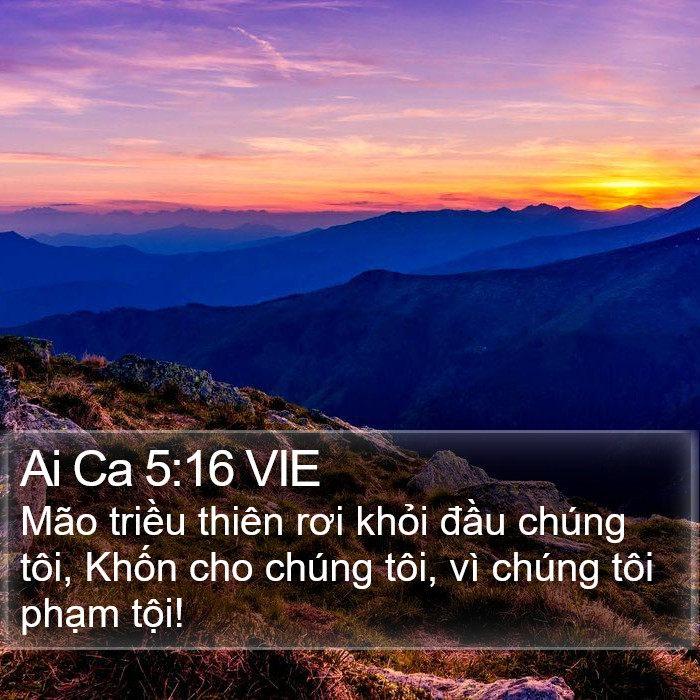 Ai Ca 5:16 VIE Bible Study