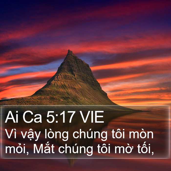 Ai Ca 5:17 VIE Bible Study