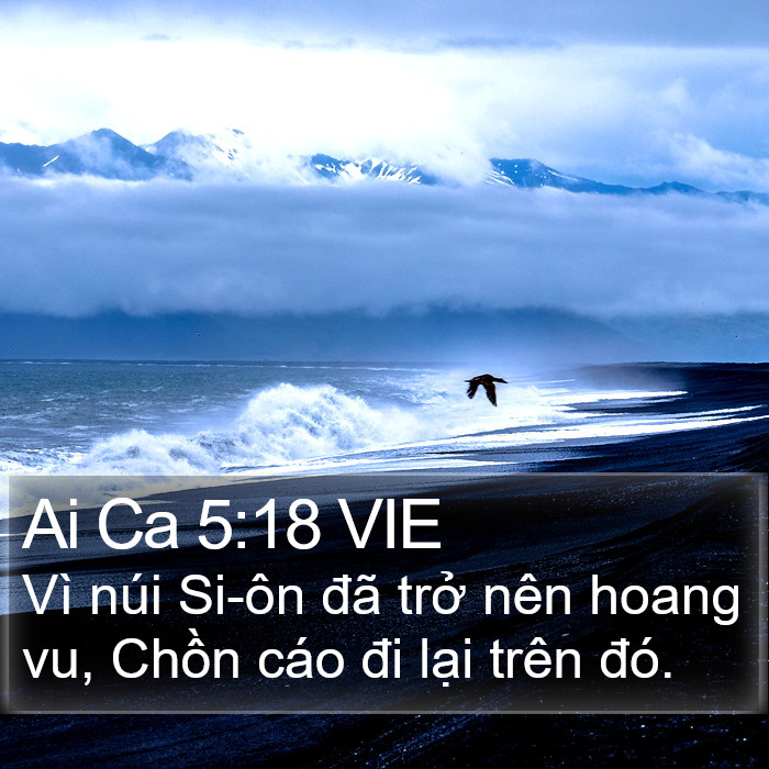 Ai Ca 5:18 VIE Bible Study