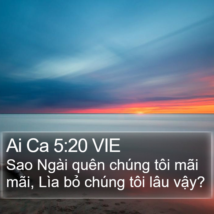 Ai Ca 5:20 VIE Bible Study