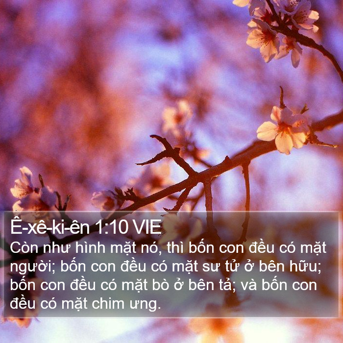 Ê-xê-ki-ên 1:10 VIE Bible Study