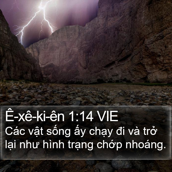 Ê-xê-ki-ên 1:14 VIE Bible Study