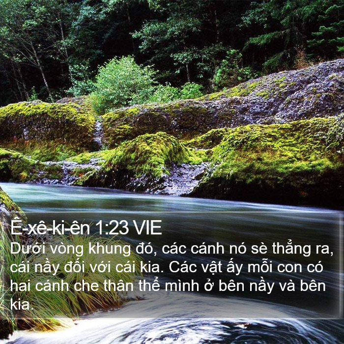 Ê-xê-ki-ên 1:23 VIE Bible Study