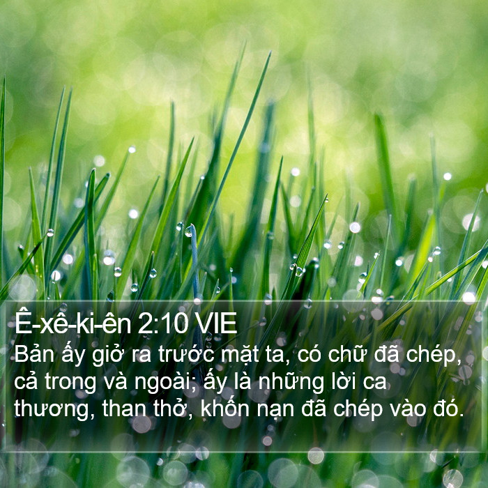 Ê-xê-ki-ên 2:10 VIE Bible Study