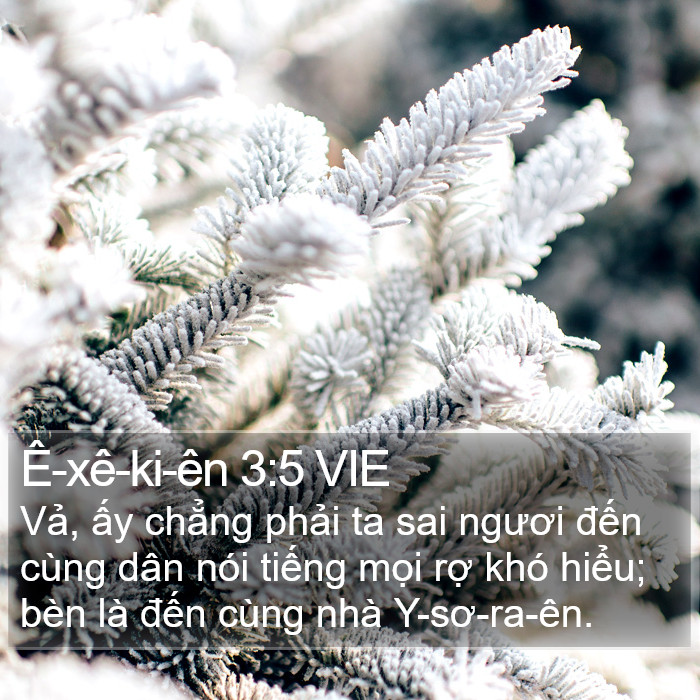 Ê-xê-ki-ên 3:5 VIE Bible Study