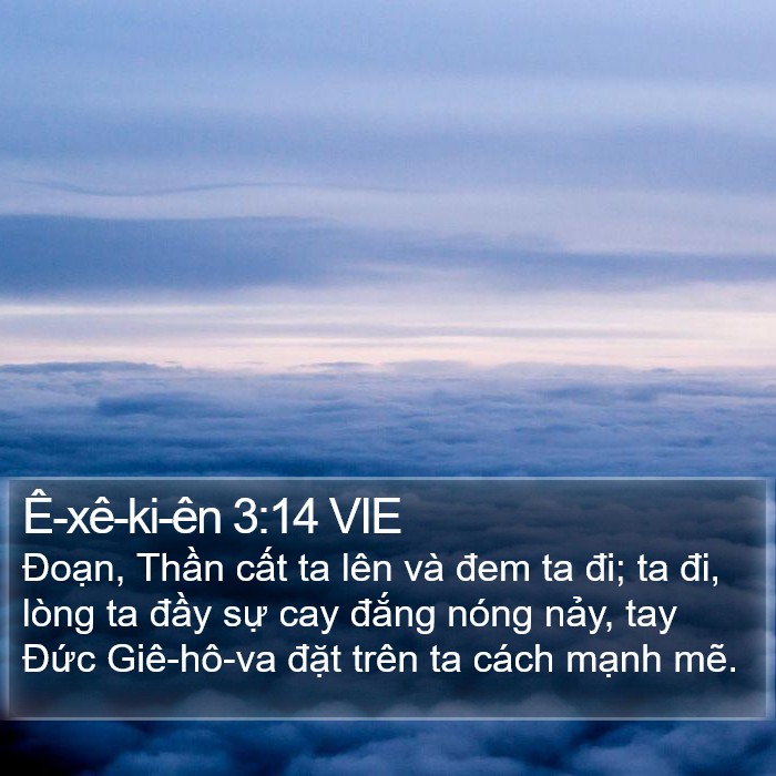 Ê-xê-ki-ên 3:14 VIE Bible Study