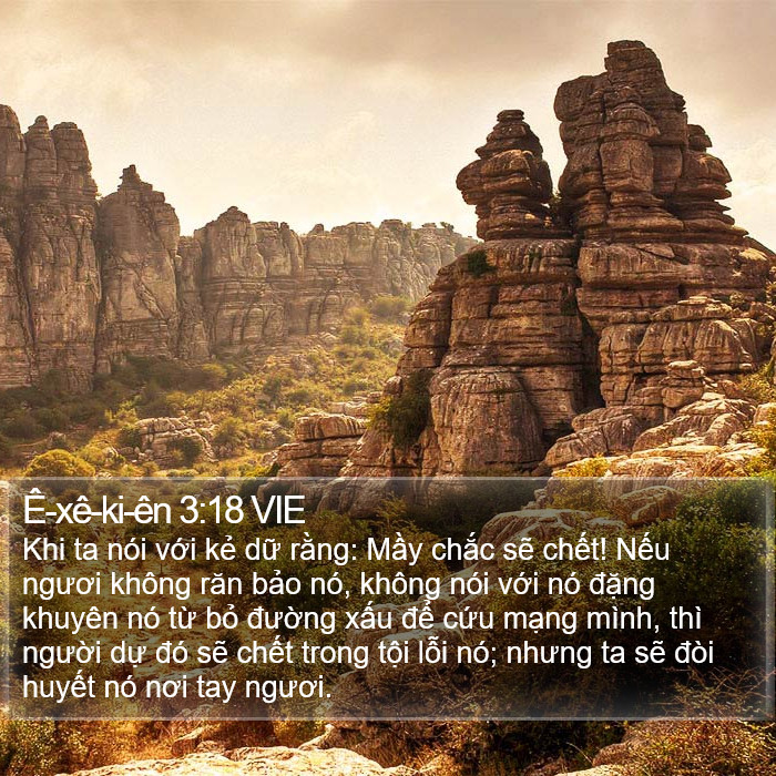 Ê-xê-ki-ên 3:18 VIE Bible Study