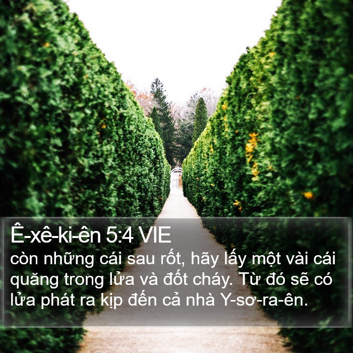 Ê-xê-ki-ên 5:4 VIE Bible Study