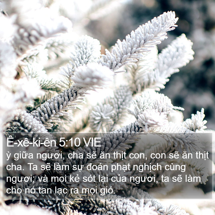 Ê-xê-ki-ên 5:10 VIE Bible Study