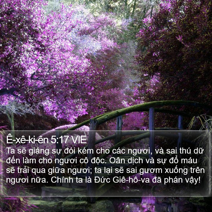 Ê-xê-ki-ên 5:17 VIE Bible Study