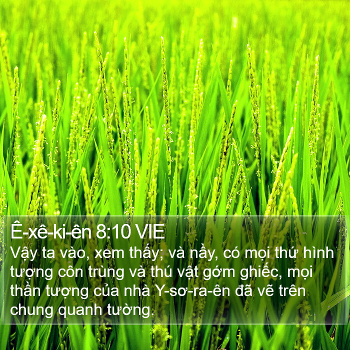 Ê-xê-ki-ên 8:10 VIE Bible Study