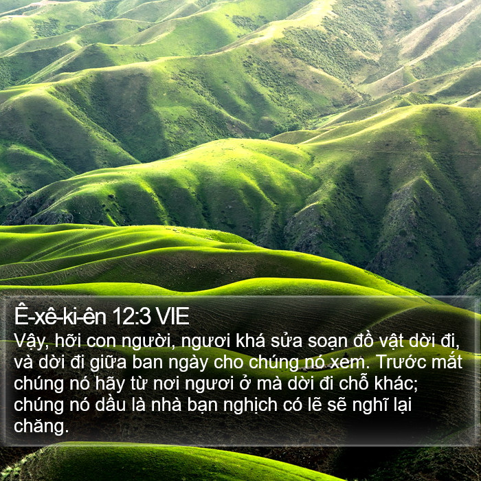 Ê-xê-ki-ên 12:3 VIE Bible Study