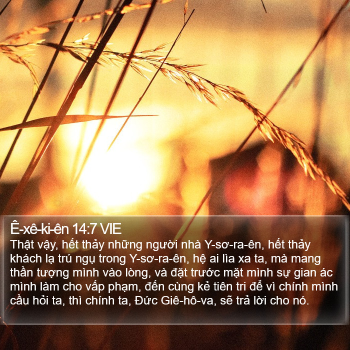 Ê-xê-ki-ên 14:7 VIE Bible Study