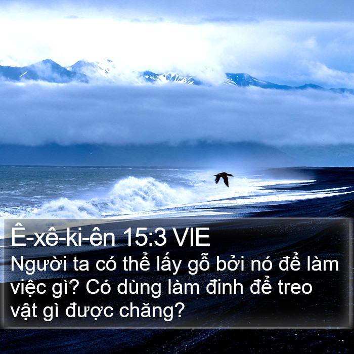 Ê-xê-ki-ên 15:3 VIE Bible Study
