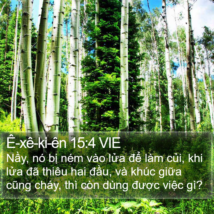 Ê-xê-ki-ên 15:4 VIE Bible Study
