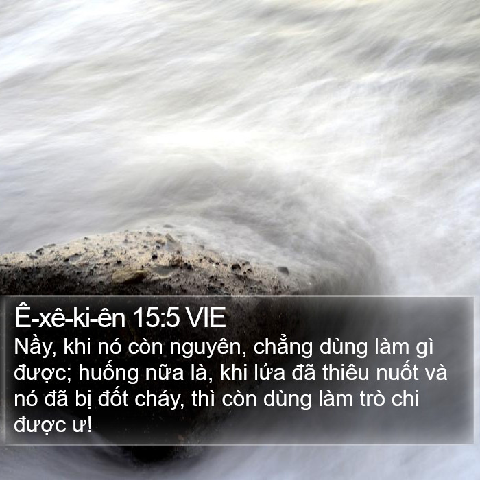 Ê-xê-ki-ên 15:5 VIE Bible Study