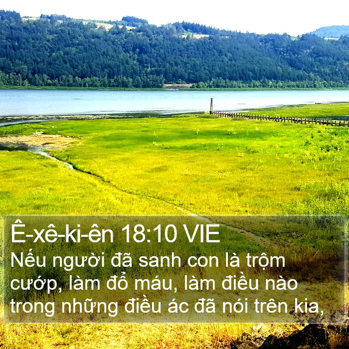 Ê-xê-ki-ên 18:10 VIE Bible Study