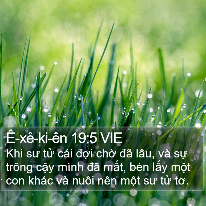 Ê-xê-ki-ên 19:5 VIE Bible Study