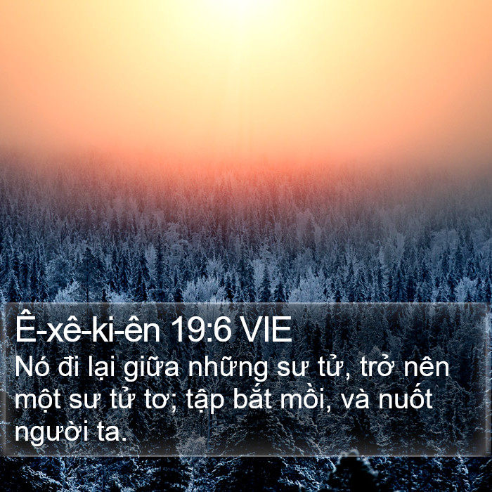 Ê-xê-ki-ên 19:6 VIE Bible Study