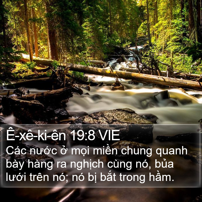 Ê-xê-ki-ên 19:8 VIE Bible Study