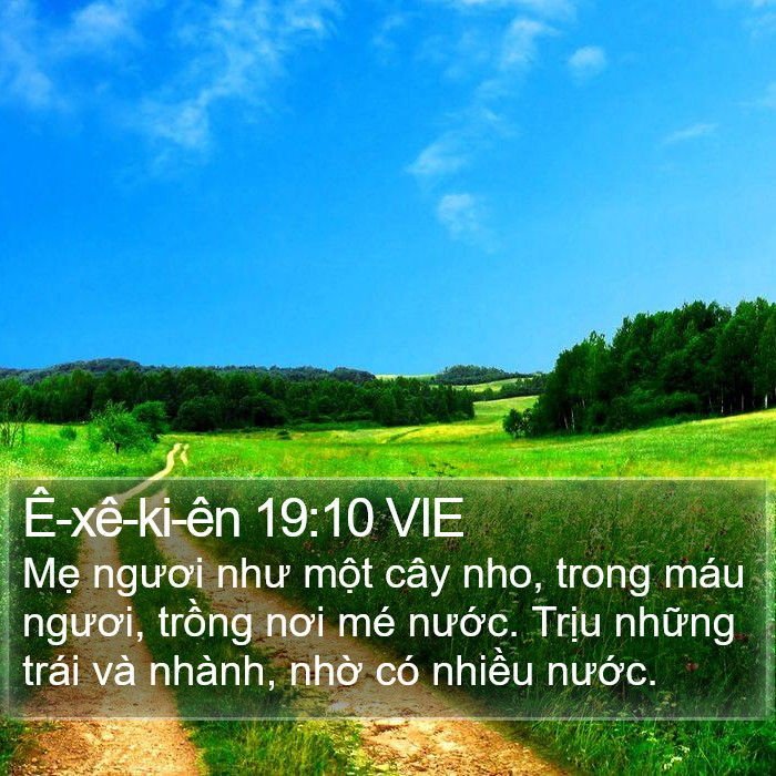 Ê-xê-ki-ên 19:10 VIE Bible Study