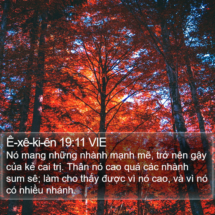 Ê-xê-ki-ên 19:11 VIE Bible Study