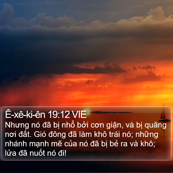 Ê-xê-ki-ên 19:12 VIE Bible Study