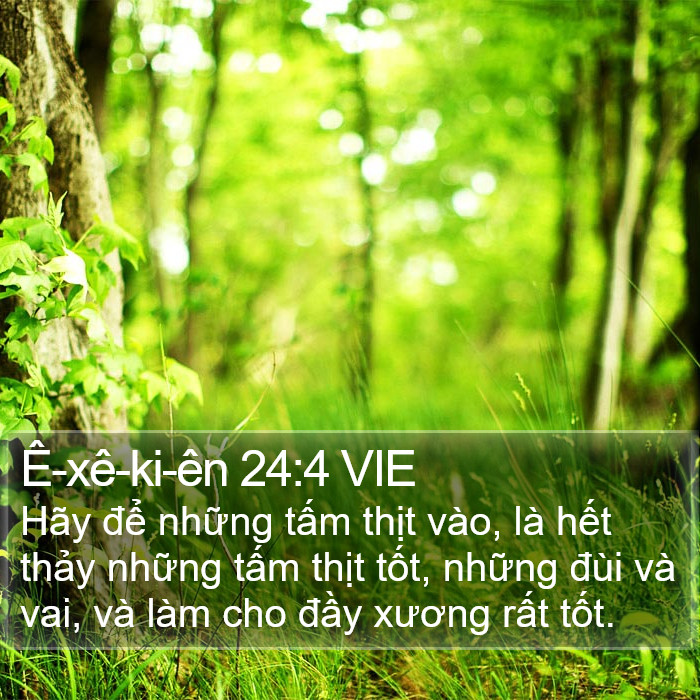 Ê-xê-ki-ên 24:4 VIE Bible Study