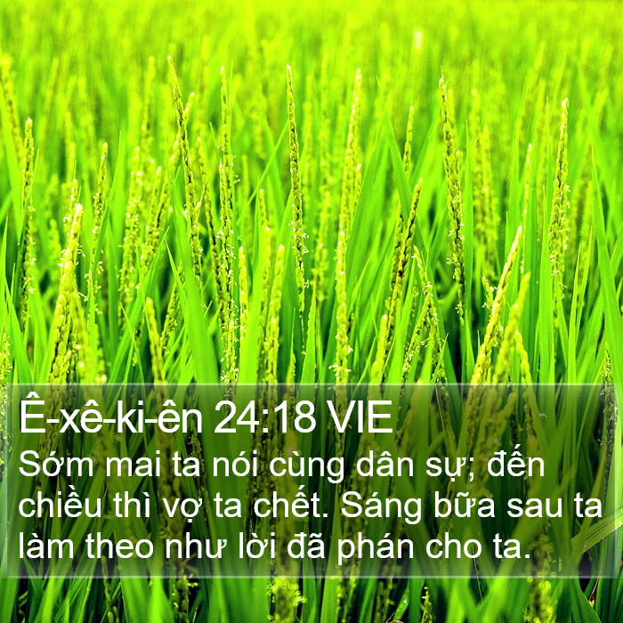 Ê-xê-ki-ên 24:18 VIE Bible Study