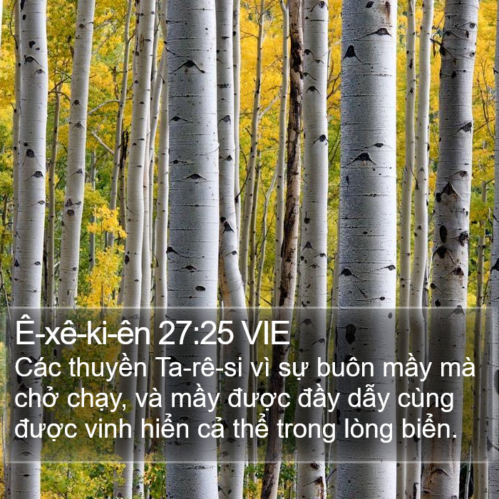 Ê-xê-ki-ên 27:25 VIE Bible Study