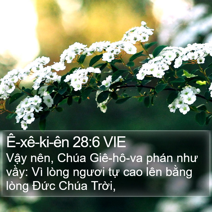 Ê-xê-ki-ên 28:6 VIE Bible Study
