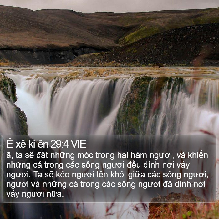 Ê-xê-ki-ên 29:4 VIE Bible Study