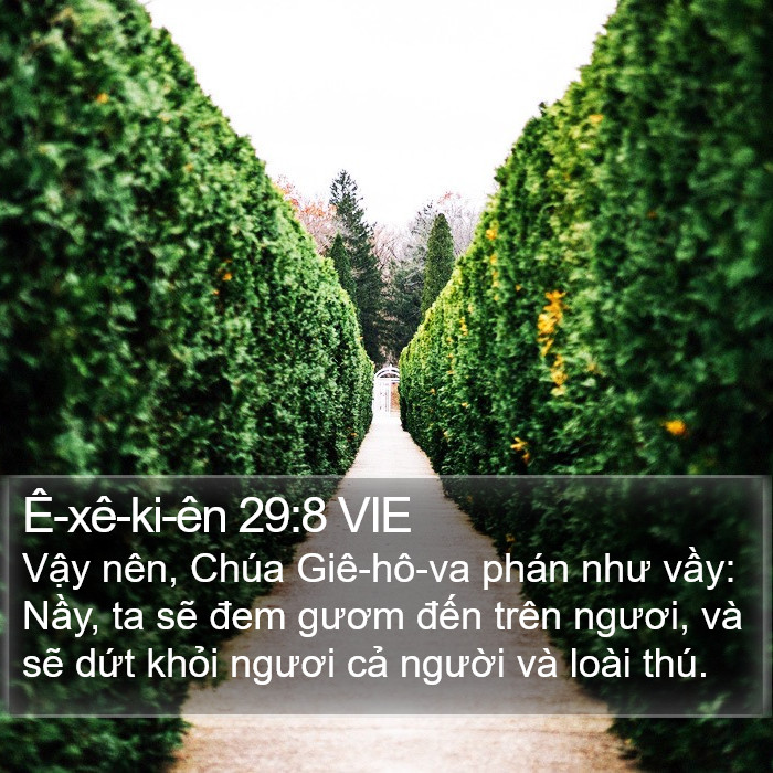 Ê-xê-ki-ên 29:8 VIE Bible Study