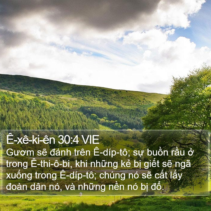 Ê-xê-ki-ên 30:4 VIE Bible Study