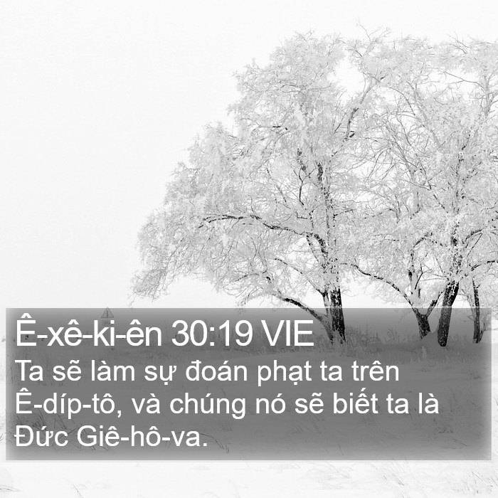 Ê-xê-ki-ên 30:19 VIE Bible Study