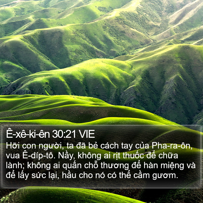 Ê-xê-ki-ên 30:21 VIE Bible Study