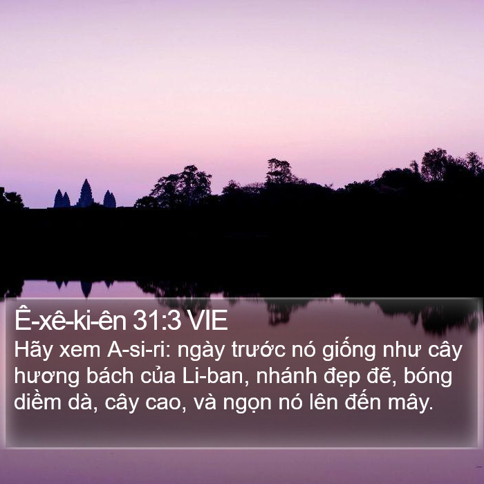 Ê-xê-ki-ên 31:3 VIE Bible Study