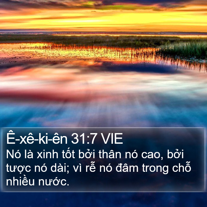 Ê-xê-ki-ên 31:7 VIE Bible Study