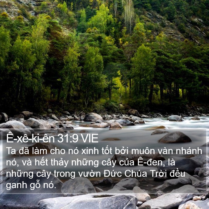 Ê-xê-ki-ên 31:9 VIE Bible Study