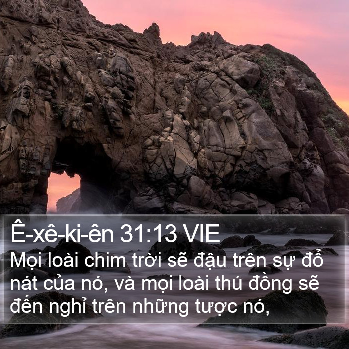 Ê-xê-ki-ên 31:13 VIE Bible Study