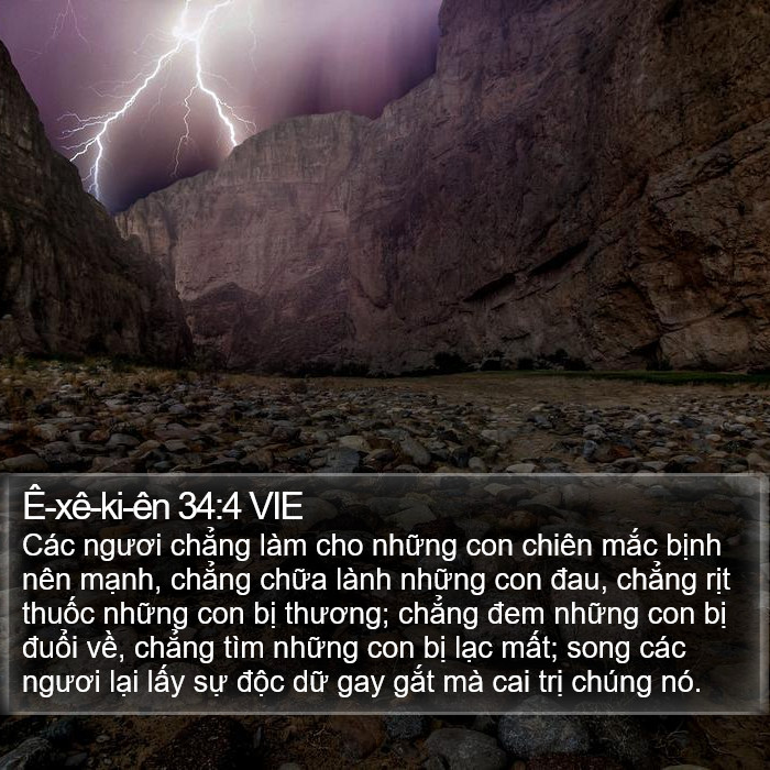 Ê-xê-ki-ên 34:4 VIE Bible Study